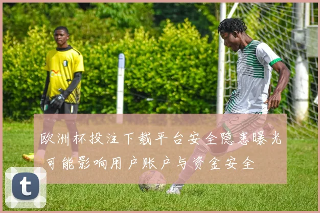 欧洲杯投注下载平台安全隐患曝光 可能影响用户账户与资金安全