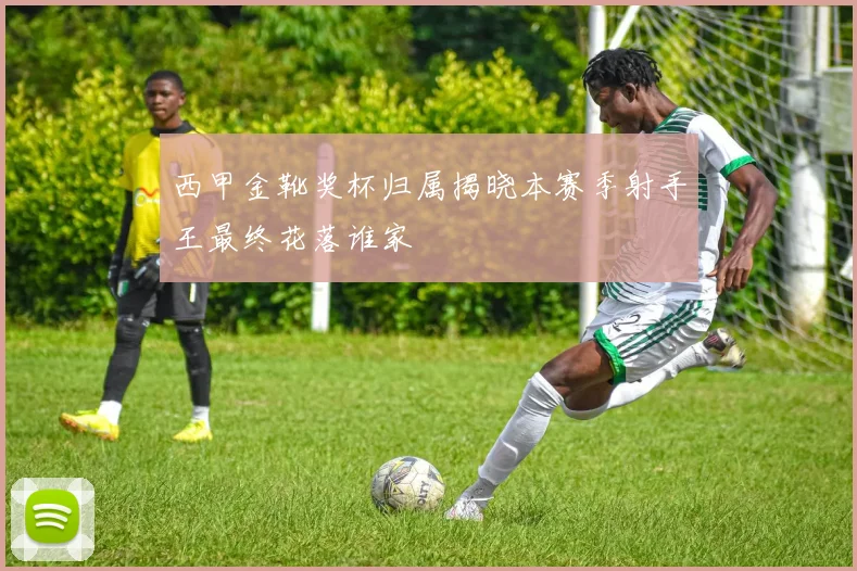 西甲金靴奖杯归属揭晓本赛季射手王最终花落谁家