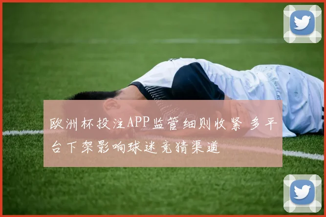 欧洲杯投注APP监管细则收紧 多平台下架影响球迷竞猜渠道